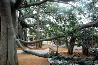December 10 2008