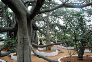 December 10 2008