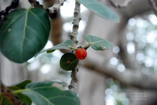 December 10 2008