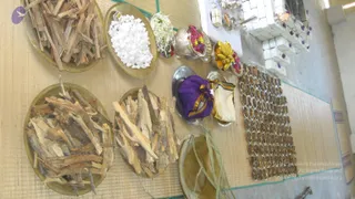 2008-GLIMPSES-OF-JAYANTHI-BRAHMOTSAVAM-ADIKAILAASA