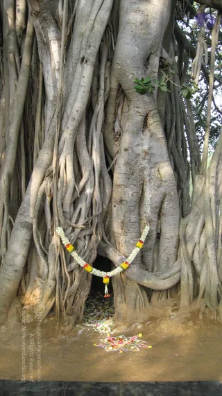 2008-GLIMPSES-OF-JAYANTHI-BRAHMOTSAVAM-ADIKAILAASA