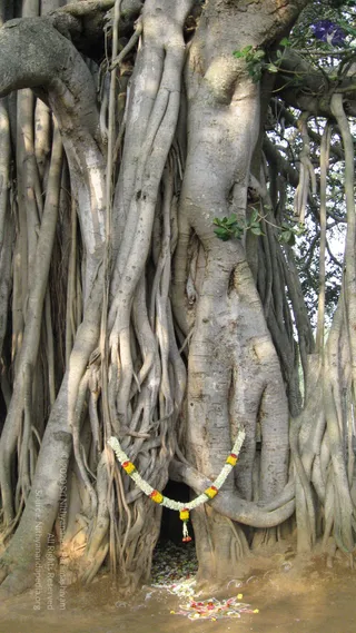 2008-GLIMPSES-OF-JAYANTHI-BRAHMOTSAVAM-ADIKAILAASA