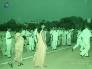 2008-Glimpses