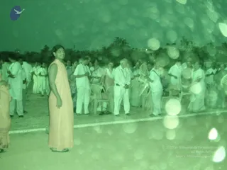 2008-Glimpses