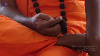 2008-Glimpses