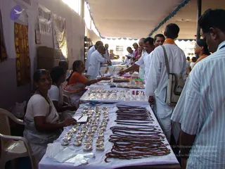 2008-Glimpses