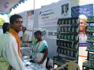 2008-Glimpses