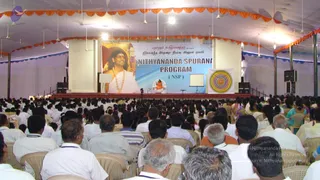 2008-Glimpses
