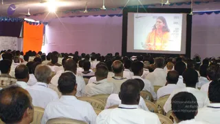 2008-Glimpses