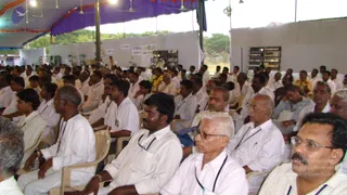 2008-Glimpses