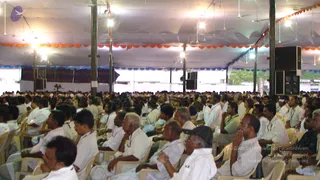 2008-Glimpses