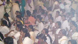 2008-Glimpses