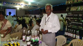 2008-Glimpses