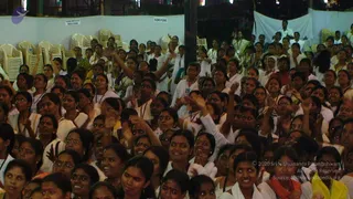 2008-Glimpses