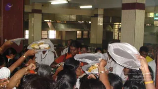 2008-Glimpses