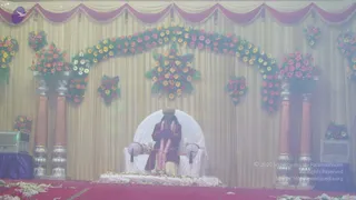 2008-Glimpses