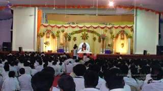 2008-Glimpses