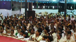 2008-Glimpses
