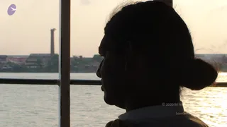 2008-Glimpses