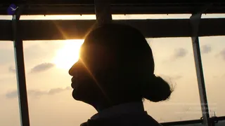 2008-Glimpses