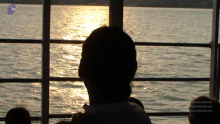 2008-Glimpses
