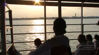 2008-Glimpses