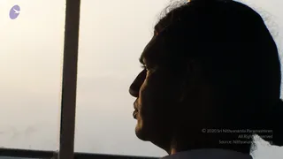 2008-Glimpses