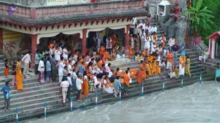 2008-Glimpses