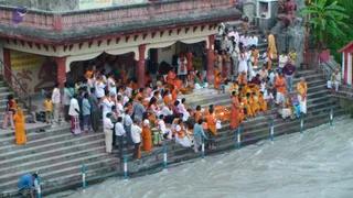 2008-Glimpses