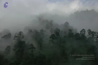 2008-Highlights-From-The-HimalayaYatra