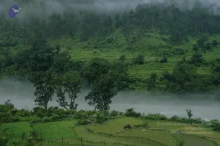 2008-Highlights-From-The-HimalayaYatra
