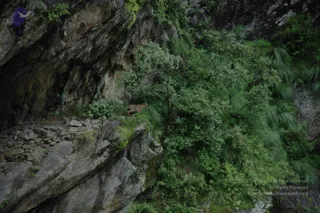 2008-Highlights-From-The-HimalayaYatra