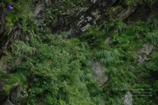 2008-Highlights-From-The-HimalayaYatra