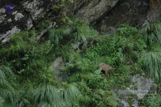 2008-Highlights-From-The-HimalayaYatra
