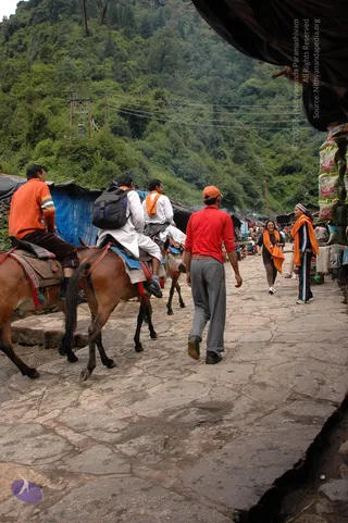 2008-Highlights-From-The-HimalayaYatra