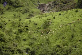 2008-Highlights-From-The-HimalayaYatra