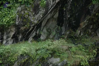 2008-Highlights-From-The-HimalayaYatra