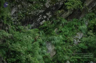 2008-Highlights-From-The-HimalayaYatra