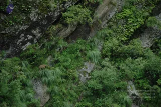 2008-Highlights-From-The-HimalayaYatra