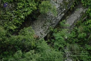 2008-Highlights-From-The-HimalayaYatra