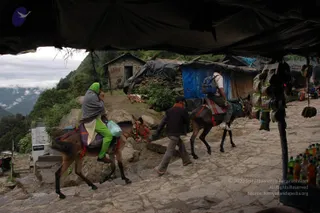 2008-Highlights-From-The-HimalayaYatra
