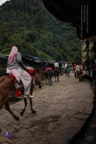 2008-Highlights-From-The-HimalayaYatra