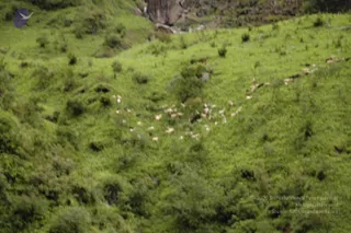 2008-Highlights-From-The-HimalayaYatra