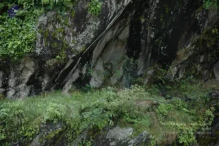 2008-Highlights-From-The-HimalayaYatra