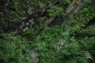 2008-Highlights-From-The-HimalayaYatra