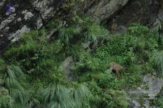 2008-Highlights-From-The-HimalayaYatra