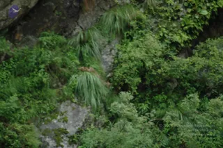 2008-Highlights-From-The-HimalayaYatra