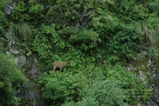 2008-Highlights-From-The-HimalayaYatra