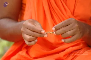 2008-Highlights-From-The-HimalayaYatra