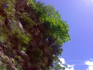 01072008271_CMP_WM